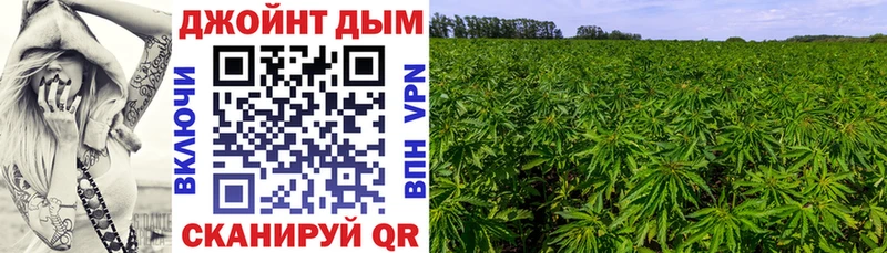 Каннабис Ganja купить наркотик Благодарный